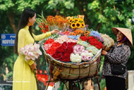 Hanoi builds four-season tourism appeal